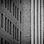 _MG_2807