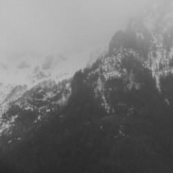 chaw.at--FOG-1