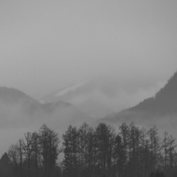 chaw.at--FOG-3